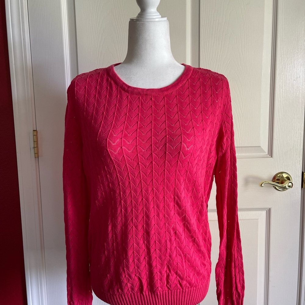 Passports Pink Crew Neck Sweater Knit